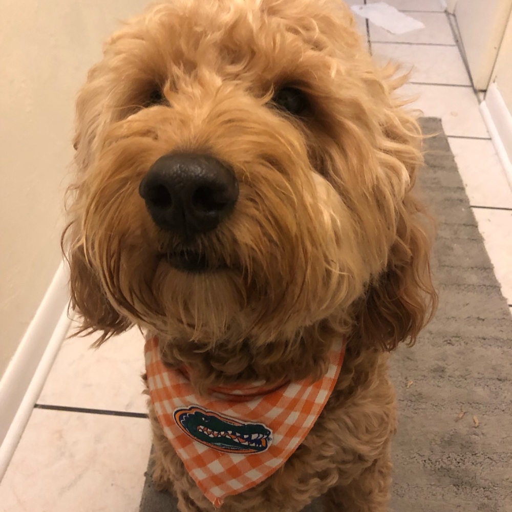 Meet your Posher, Megan